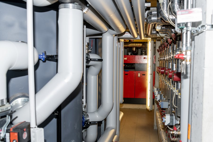 Seniorenheim wird GRÜN